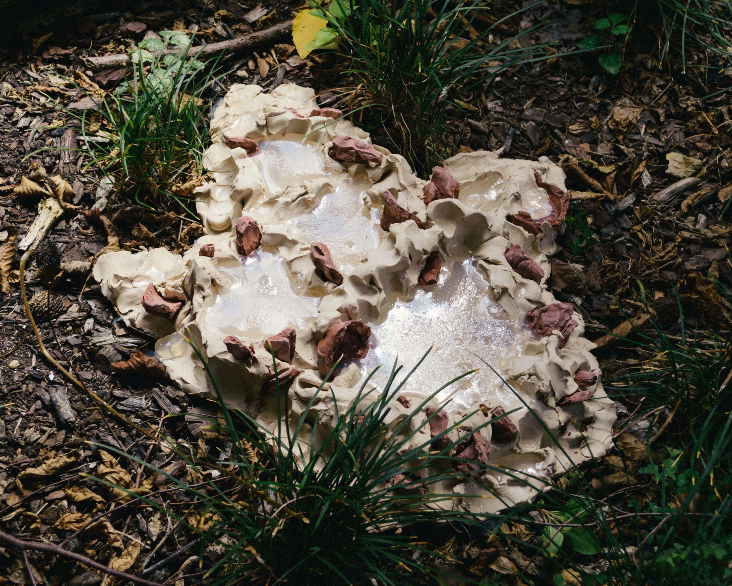 A puddle of beige clay with terracotta clay shards in it sits on tambarked ground. There are grasses around the perimeter of the clay